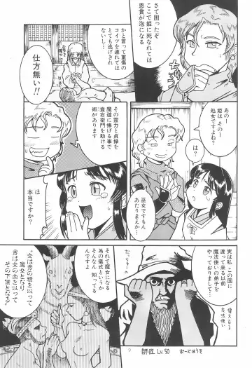 [Kunitsu Takeshi] Shougun Sentai Fhentai - Page 9