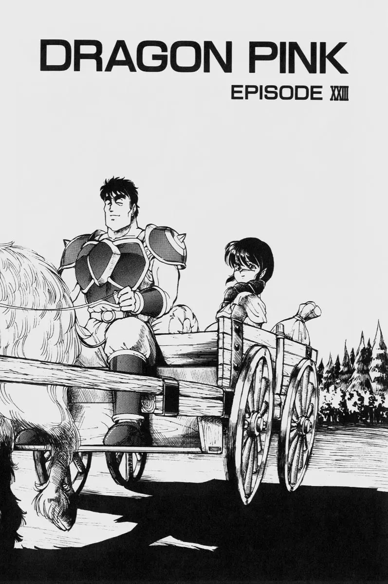 [Itoyoko] Dragon Pink THE LAST FIGHT Fhentai - Page 134