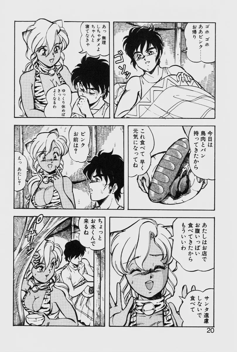 [Itoyoko] Dragon Pink THE LAST FIGHT Fhentai - Page 20