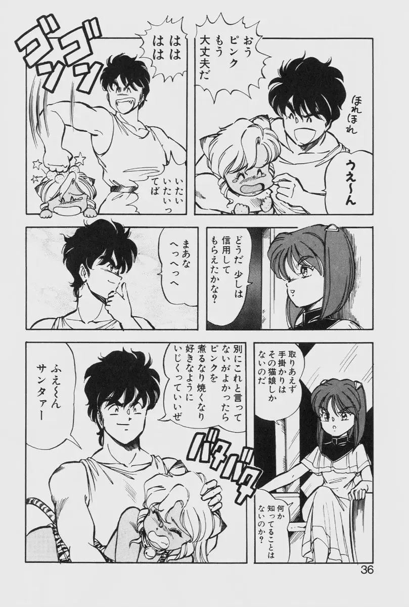 [Itoyoko] Dragon Pink THE LAST FIGHT Fhentai - Page 36