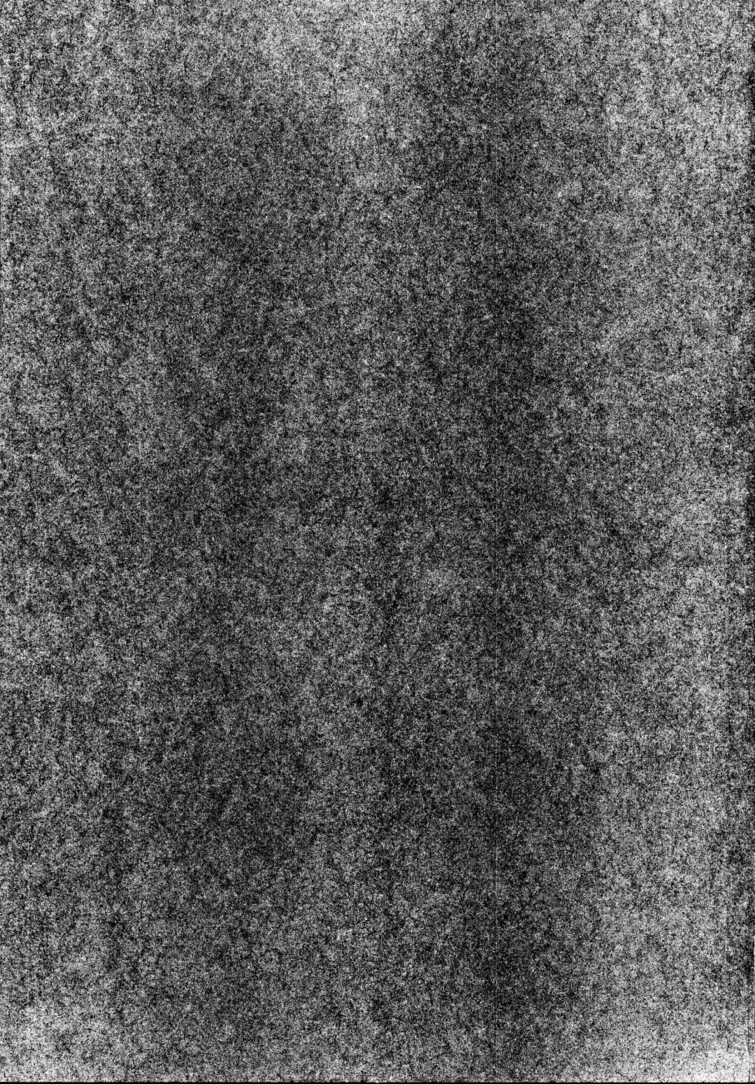 [Muneshiro] Musashi-chan to PakoCam | Musashi-Chan's Fuck Fest Fhentai - Page 24