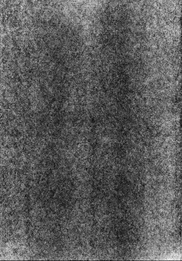 [Muneshiro] Musashi-chan to PakoCam | Musashi-Chan's Fuck Fest Fhentai - Page 24