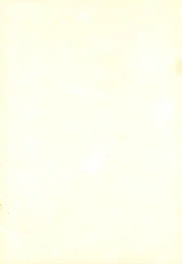 [Nyanko Mic] Sakura Saku Fhentai - Page 2