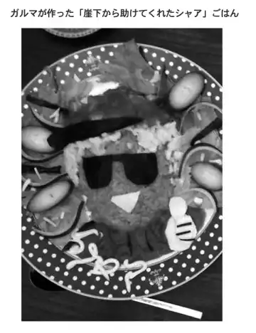 [Kijima Daisyarin] Garma Zabi Kouryaku Fhentai - Page 13