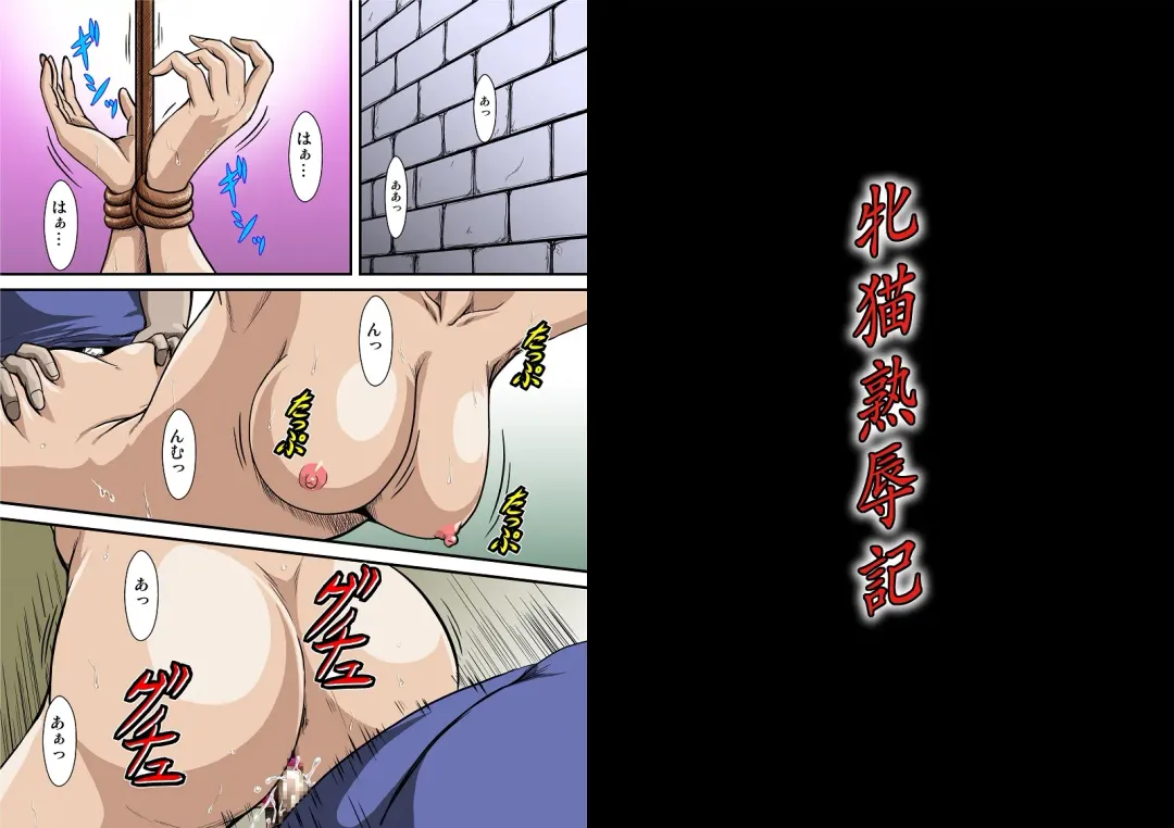 [Umiyama Misaki] Mesuneko Jukujokuki Full color Ver. Fhentai - Page 23