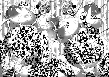 [Tetsubirei] Souou to Maguau Fhentai - Page 27