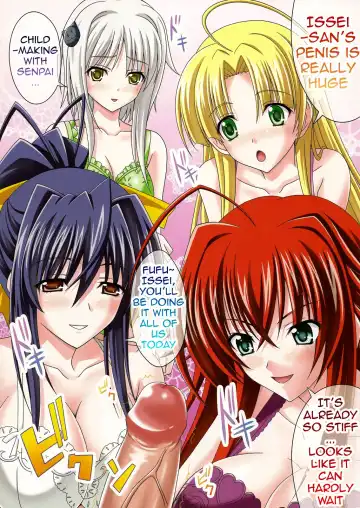 [Sinbo Tamaran] euphoria ~High School DxD~ (decensored) Fhentai - Page 4