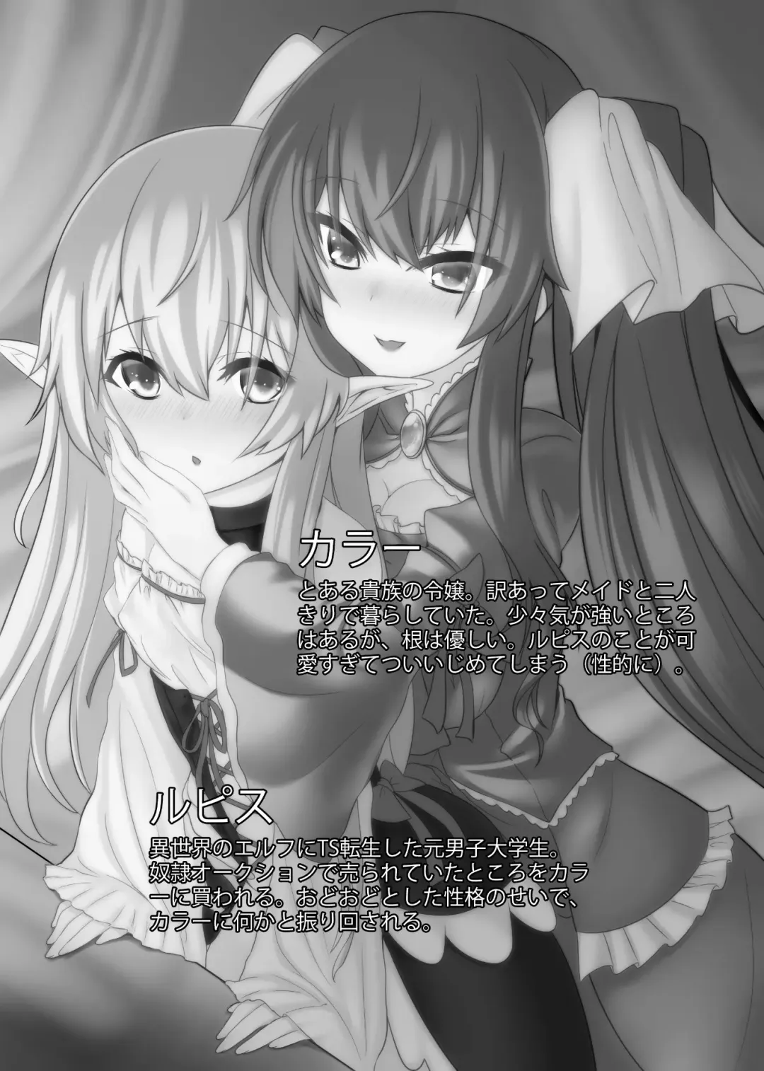 [Sorono] Futanari Ojou-sama to TS Dorei Loli Elf no Ohanashi Fhentai - Page 4