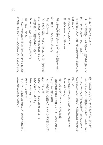 [Sorono] Futanari Ojou-sama to TS Dorei Loli Elf no Ohanashi Fhentai - Page 22