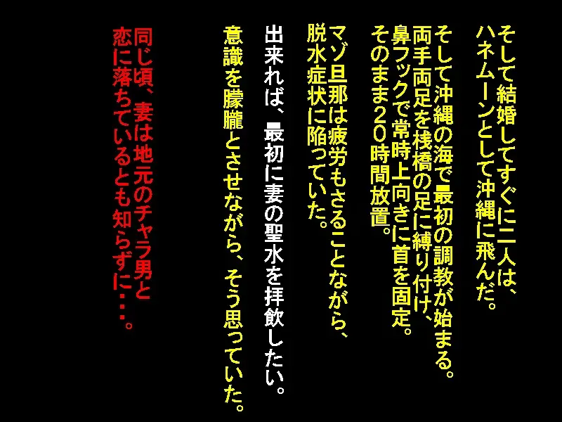 [Sansyouo] Netorare Shinkon Ryokou ~Okinawa Hen~ Fhentai - Page 3