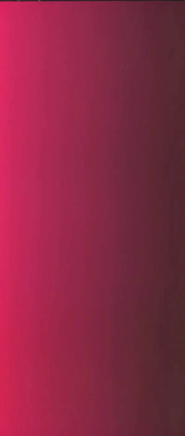 [Mizuki Hitoshi] Tonari no Onee-san - The Girl Next Door Fhentai - Page 4