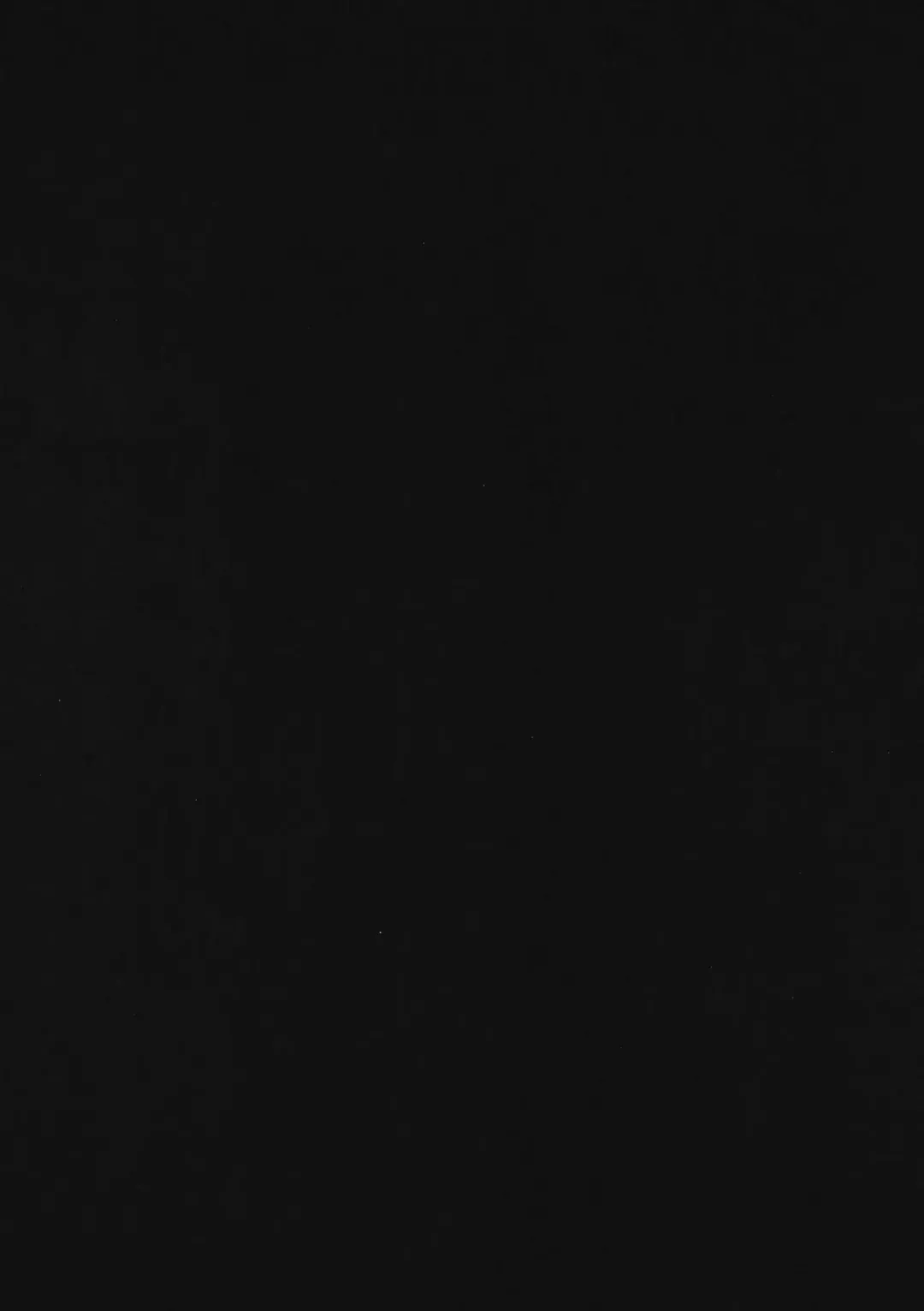 [Mmm] Sukebe na Koto Nannimo Shiranai Echidna-chan Onaho Fhentai - Page 21