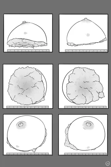 [Yezinod] Xinhua Castration Diary 1 Fhentai - Page 15