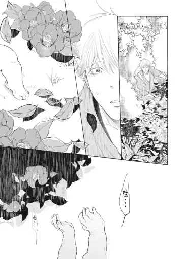 Akatsubaki | 红椿 Fhentai - Page 10