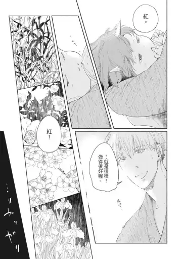 Akatsubaki | 红椿 Fhentai - Page 16