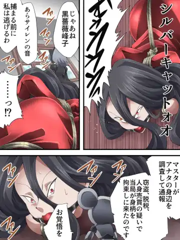 [Yakumo Ginjirou] Kaitou Silver Cat Manga Ban Dai 8-wa Fhentai - Page 29