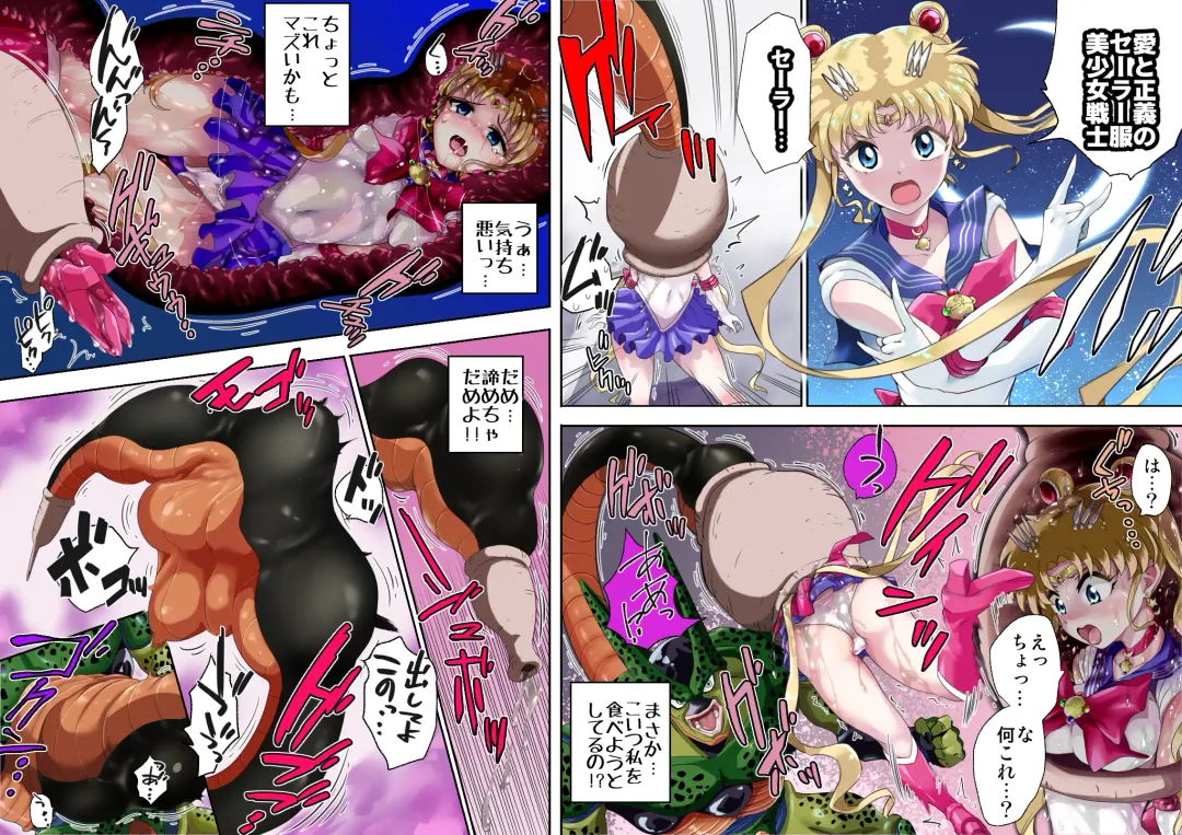 [Susuanpan] Cell no Esa Ext. Sangetsuhen | Cell's Perfect Meal: Sailor Moon V Fhentai - Page 20