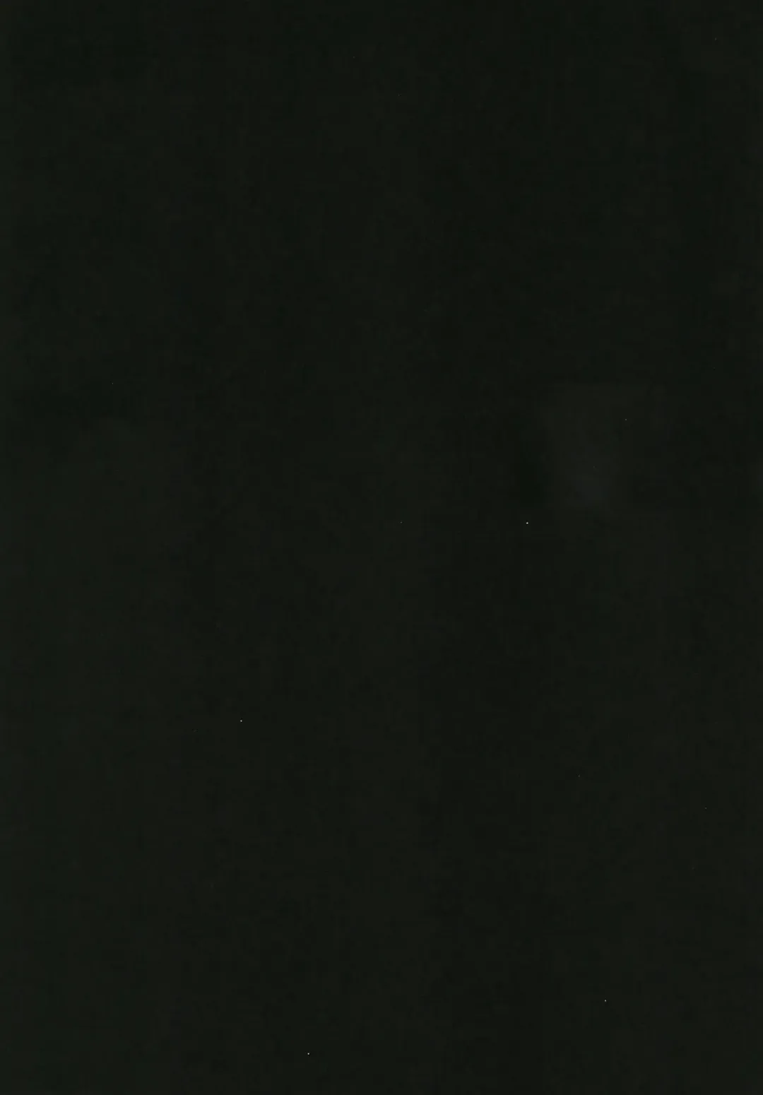 [Yukyu Ponzu] Echichi w Varisa-chan Echichi w Fhentai - Page 25