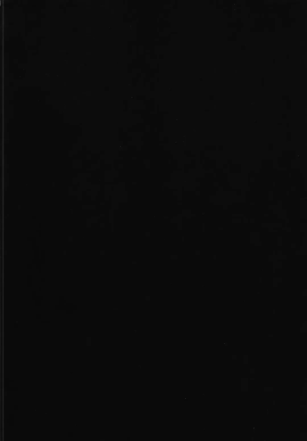 [Yukyu Ponzu] Echichi w Varisa-chan Echichi w Fhentai - Page 4