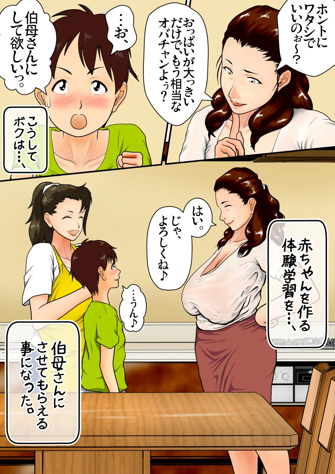 [Shizu Kei] Natsuyasumi Oba-san to Boku no [Seikatsu Kenshuu] ~Aka-chan Dekichatte mo Ii kara, Ganbatte Goran~ Fhentai - Page 17