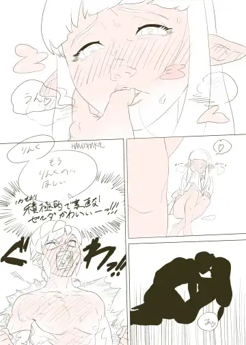 [Handshake] Zelda Summary Fhentai - Page 24