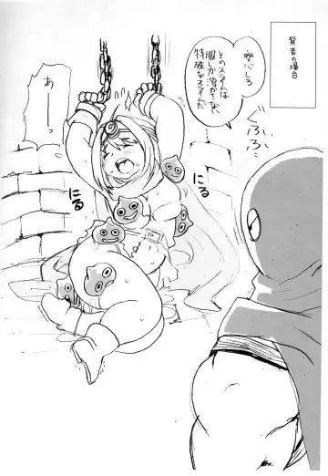 [Kojima Video] Soryo-chan no Junan Fhentai - Page 14