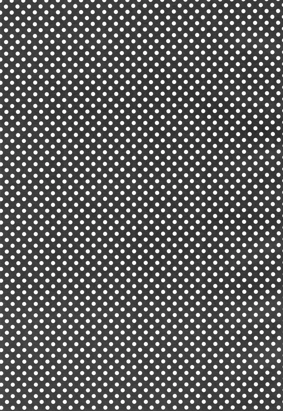 [Enomoto Hina] Futaba ni Oshiete! Fhentai - Page 3