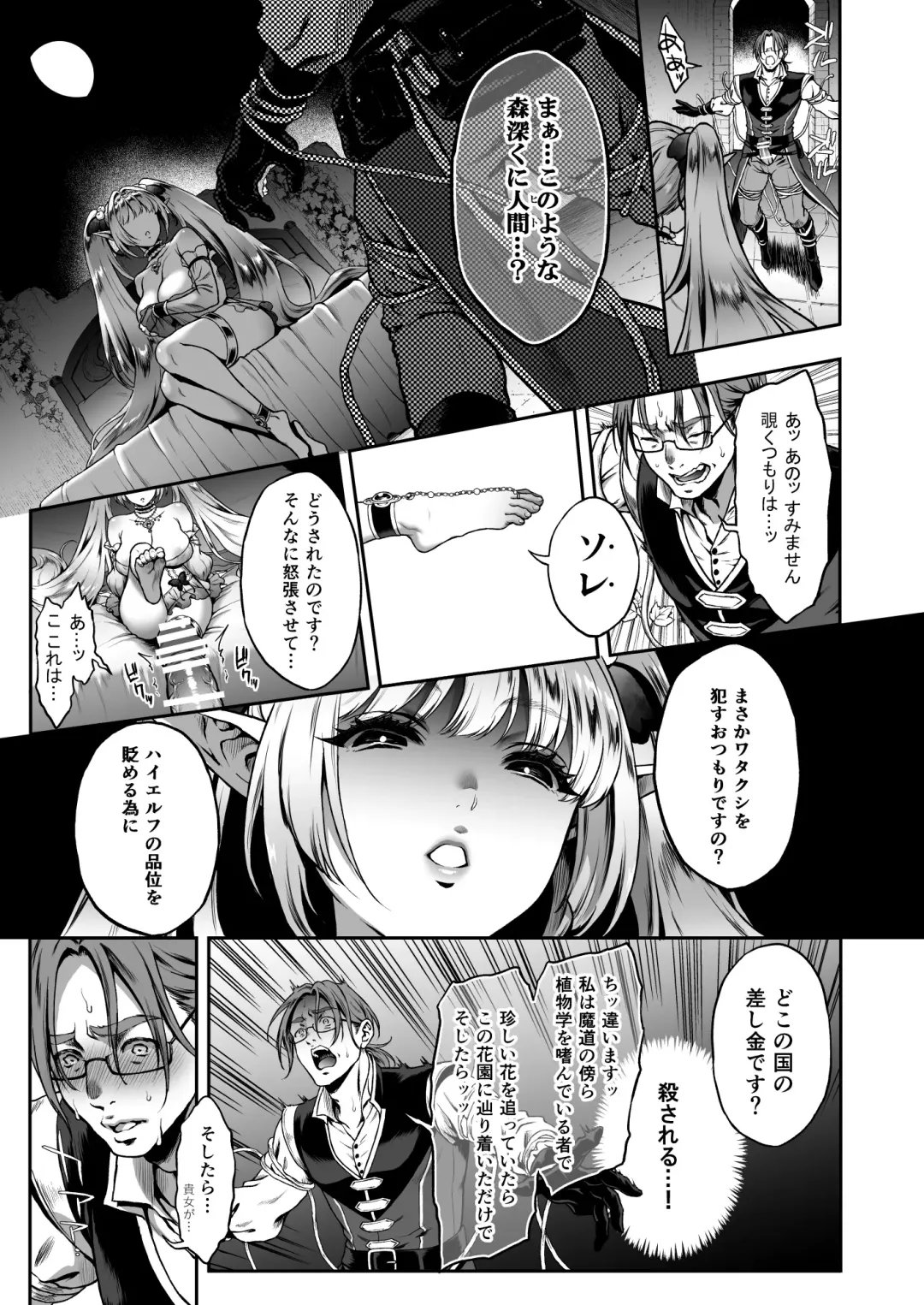 [Usagi Nagomu] Yuukyuu no Shou Elf 3 "Mugen" Zenpen Fhentai - Page 12