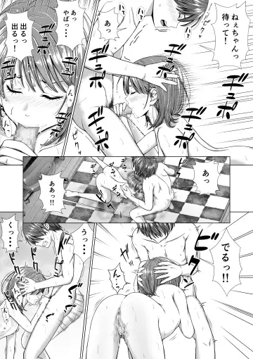 [Sawananana] Houkei o Baka ni Shita Ane o Yatte Shimau Hanashi Fhentai - Page 34