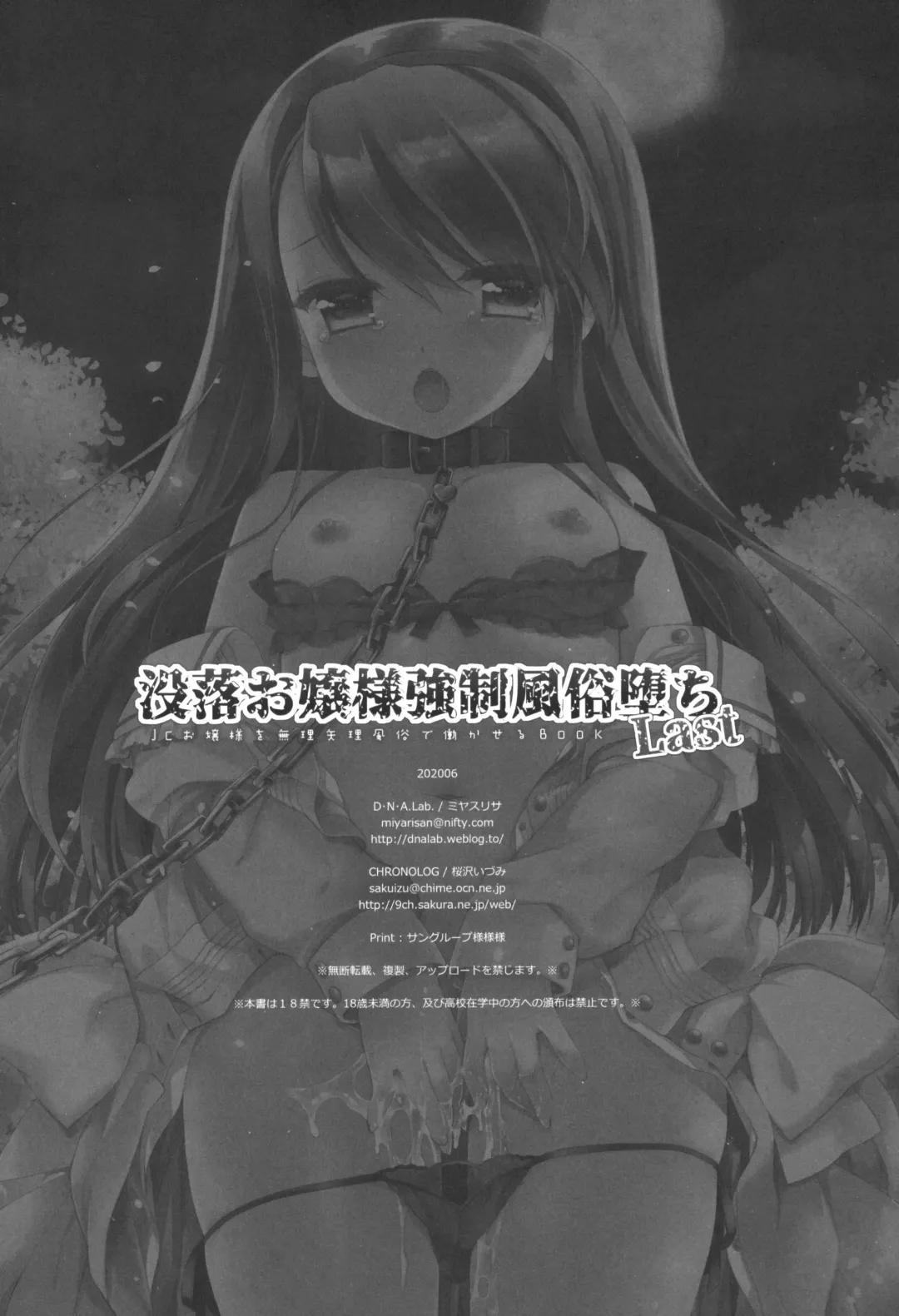 [Miyasu Risa - Sakurazawa Izumi] Botsuraku Ojou-sama Kyousei Fuuzoku Ochi Last Fhentai - Page 45