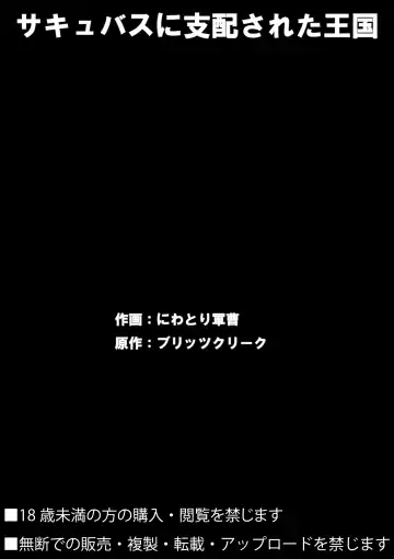 [Niwatori Gunsou - Toppogi] Succubus ni Shihai Sareta Oukoku Fhentai - Page 27