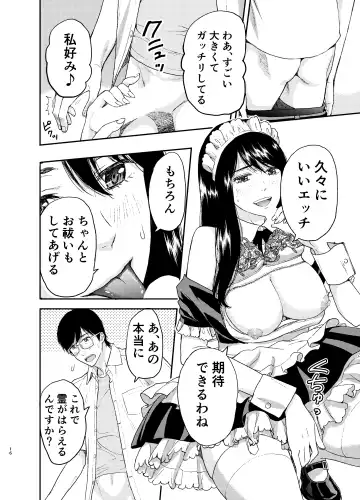 [Azuma Taira] Maid-san ni Gosoudan! Fhentai - Page 17