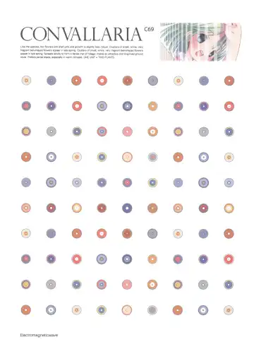 [Arima Keitarou - Pop] CONVALLARIA - Fhentai