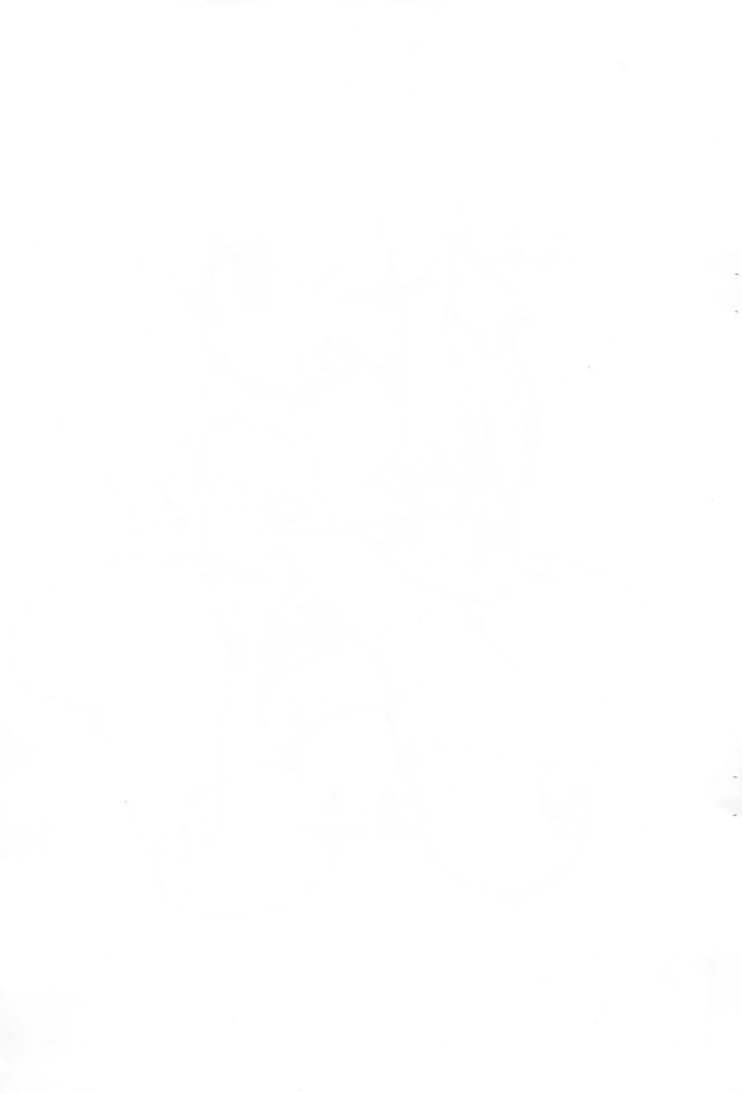 [Serizawa Yuuji] Otetsudai Fhentai - Page 11