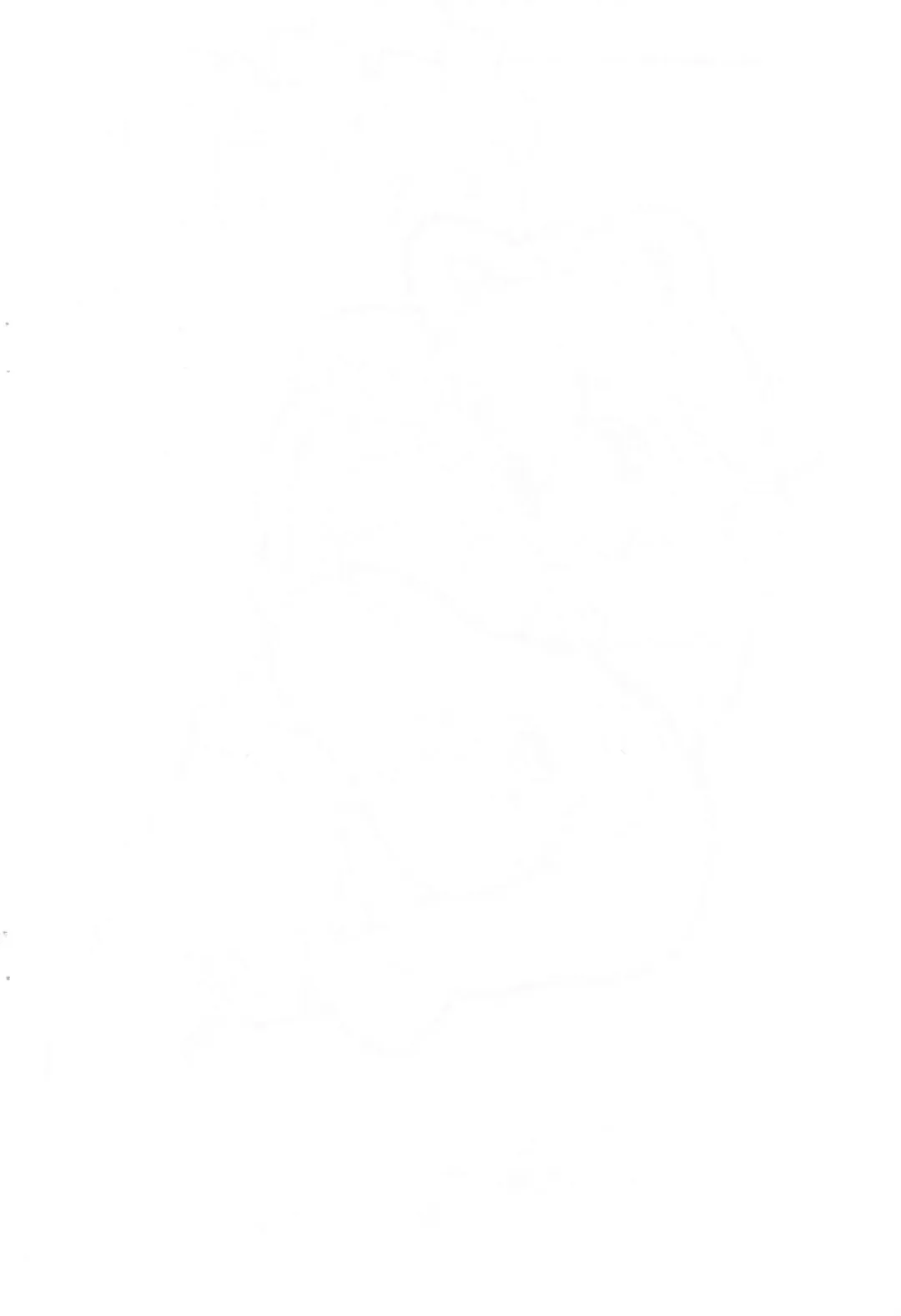 [Serizawa Yuuji] Otetsudai Fhentai - Page 2