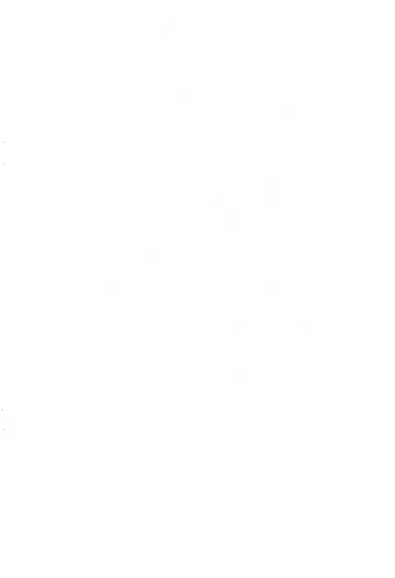 [Serizawa Yuuji] Otetsudai Fhentai - Page 2