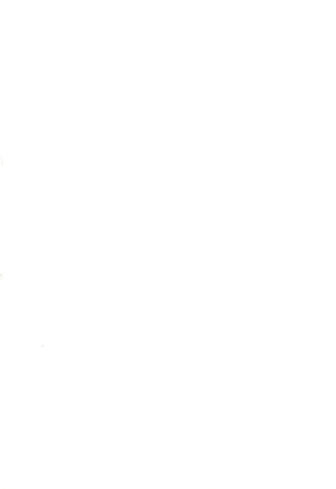 [Nary - Noise - Sarasa] Holywater Fhentai - Page 2