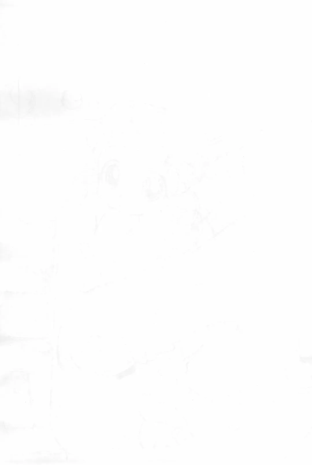 [Serizawa Yuuji] PPZ Fhentai - Page 11