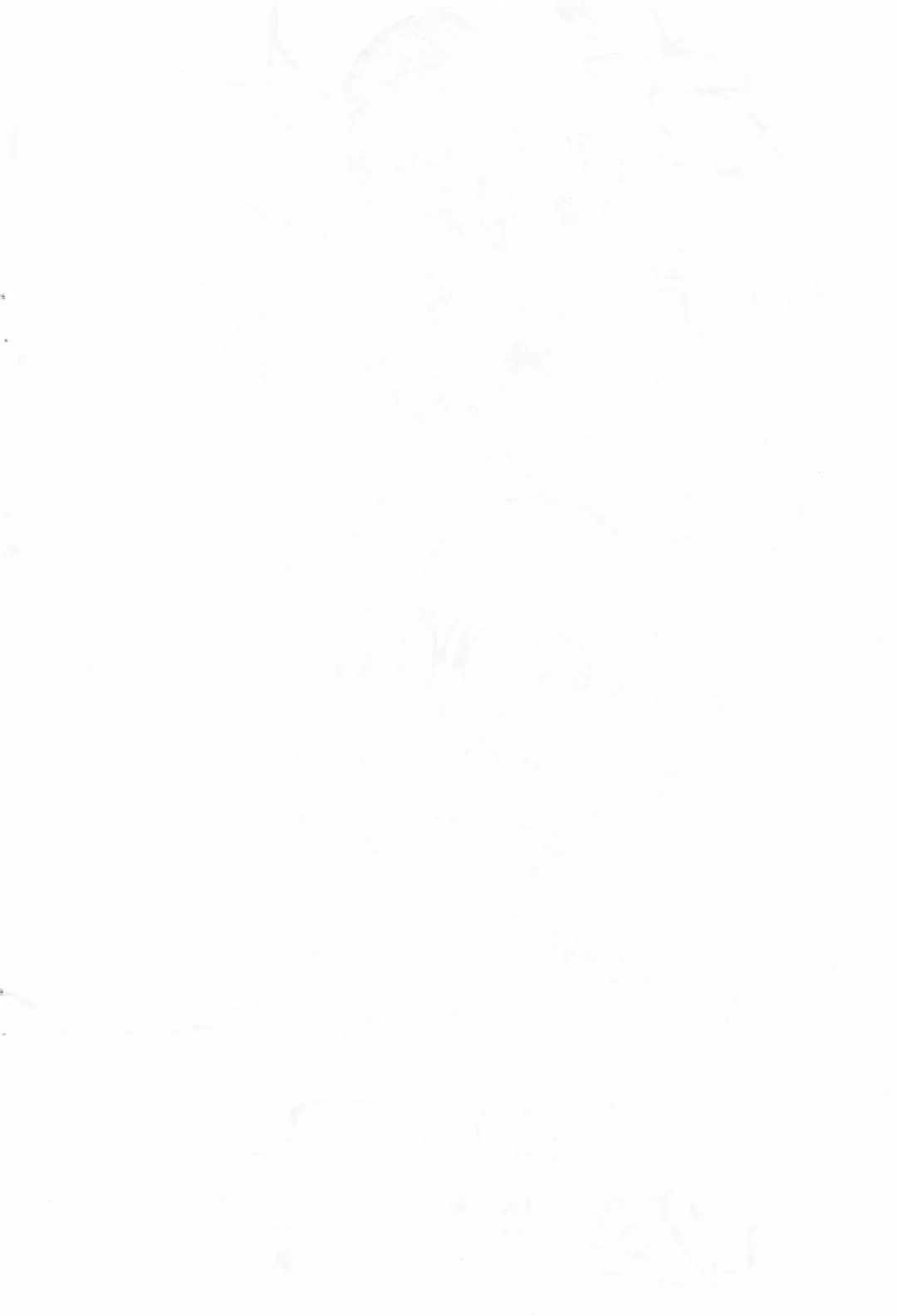 [Serizawa Yuuji] PPZ Fhentai - Page 2