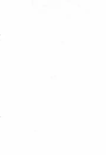 [Serizawa Yuuji] PPZ Fhentai - Page 2