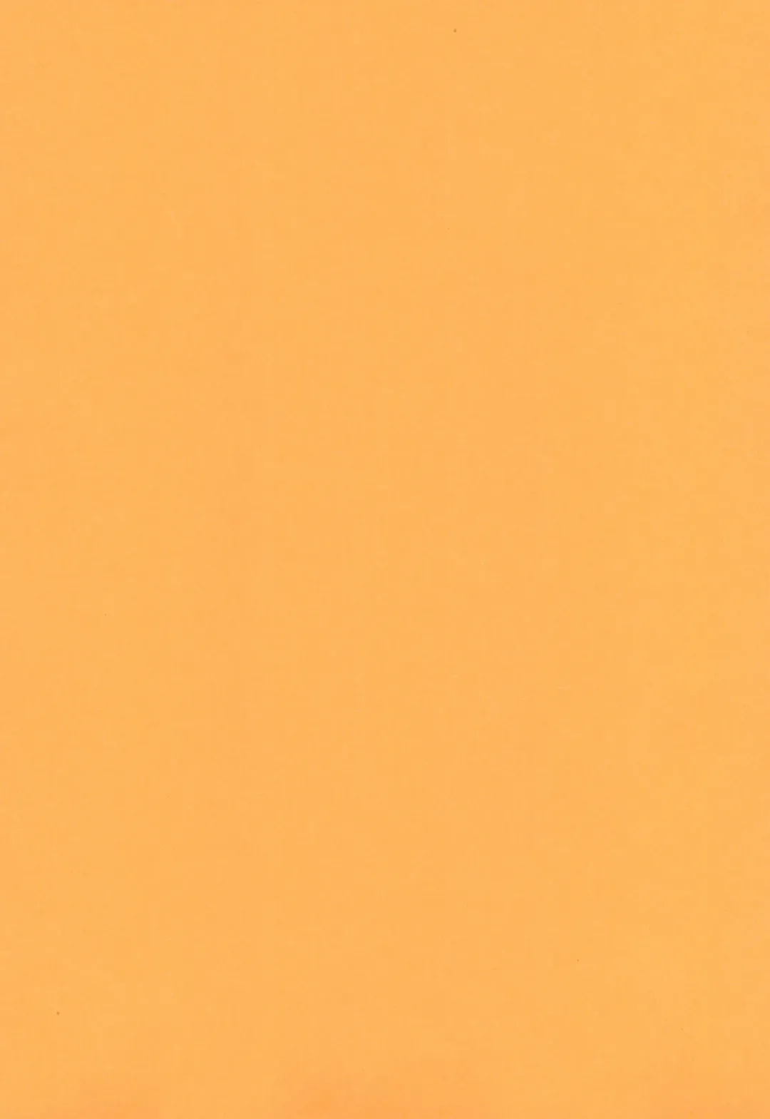 [Kagesaki Yuna] Kimyou Kitenretsu Fhentai - Page 3