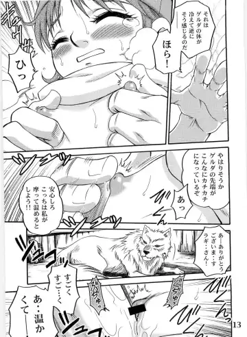 [Kyouichirou] Gelda to Issho! Fhentai - Page 13