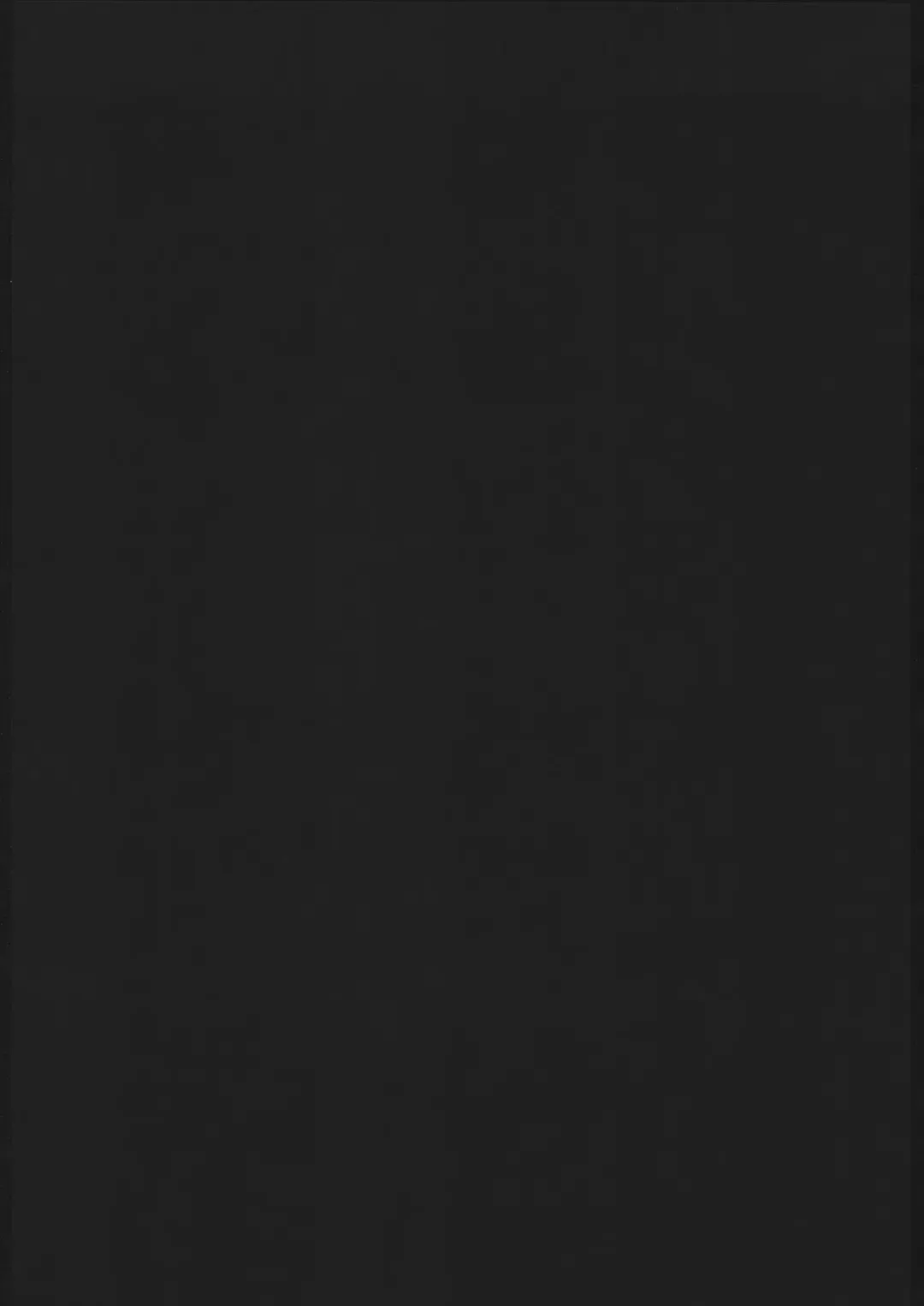 [Nagoya Shachihachi] REBORN Fhentai - Page 3