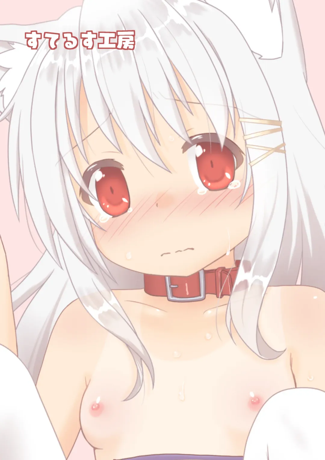 [Stealthwriter] Hatsujou shita Kemomimi Musume ni Oshioki suru Hon Fhentai - Page 24