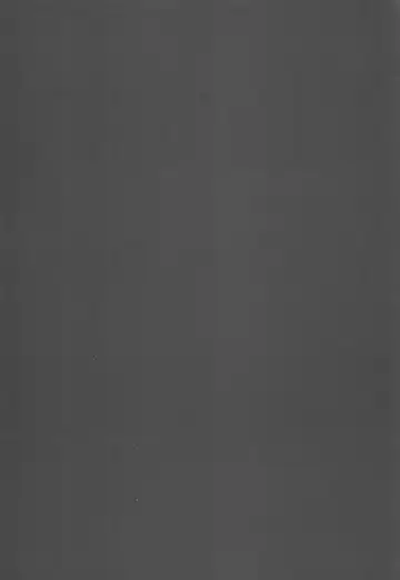 [Yam] Yuiitsu no Ai Fhentai - Page 3