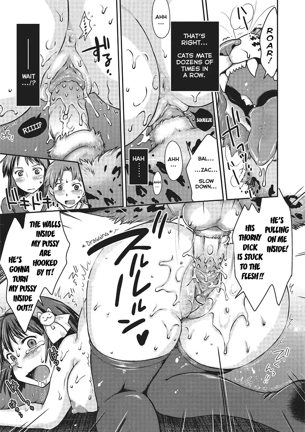 [Souko Souji] Love Love Ecchi o Big Cat to | Lovey-Dovey Sex with Big Cats (decensored) Fhentai - Page 15