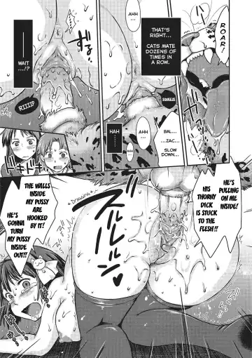 [Souko Souji] Love Love Ecchi o Big Cat to | Lovey-Dovey Sex with Big Cats (decensored) Fhentai - Page 15