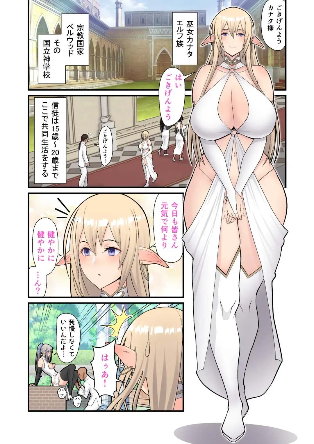 [Sueyuu] 性処理エルフ巫女のお仕事 Fhentai - Page 5