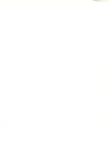 [Yuuichi] ND-special Volume 1 Fhentai - Page 2