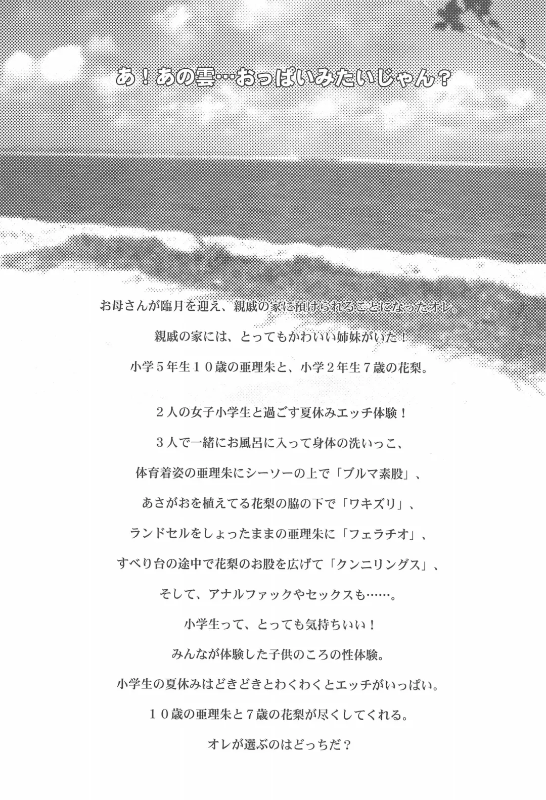 [Misooden] Ore no Natsuyasumi Fhentai - Page 3